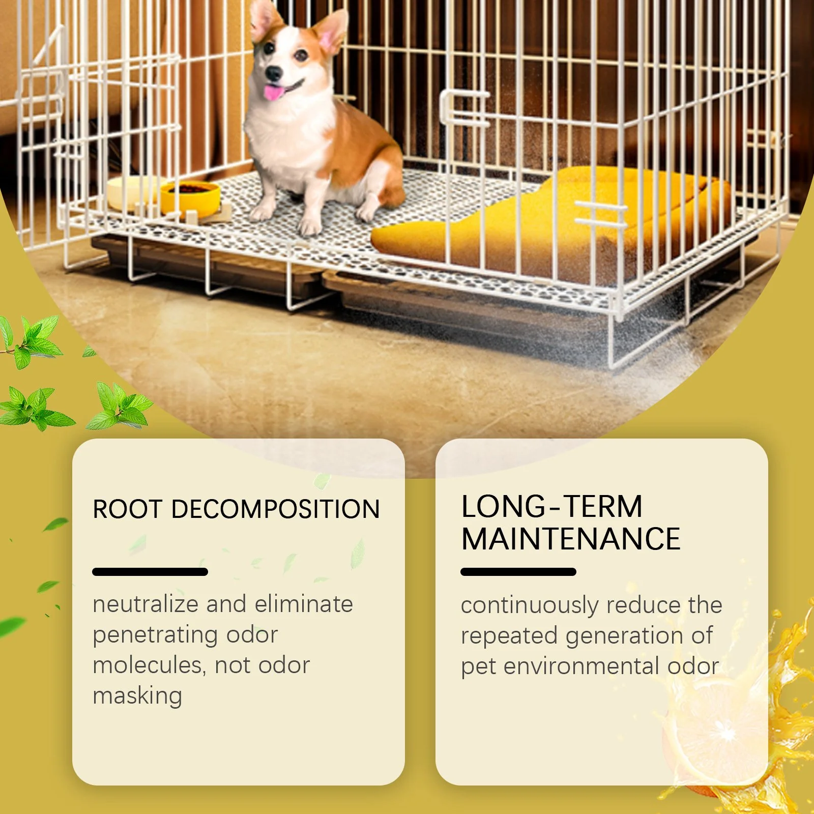 Kennel Odor Eliminator 🍑 Concentrate – Non-Enzymatic, Apricot & Fresh Scents for Tough Pet Odors - Image 7