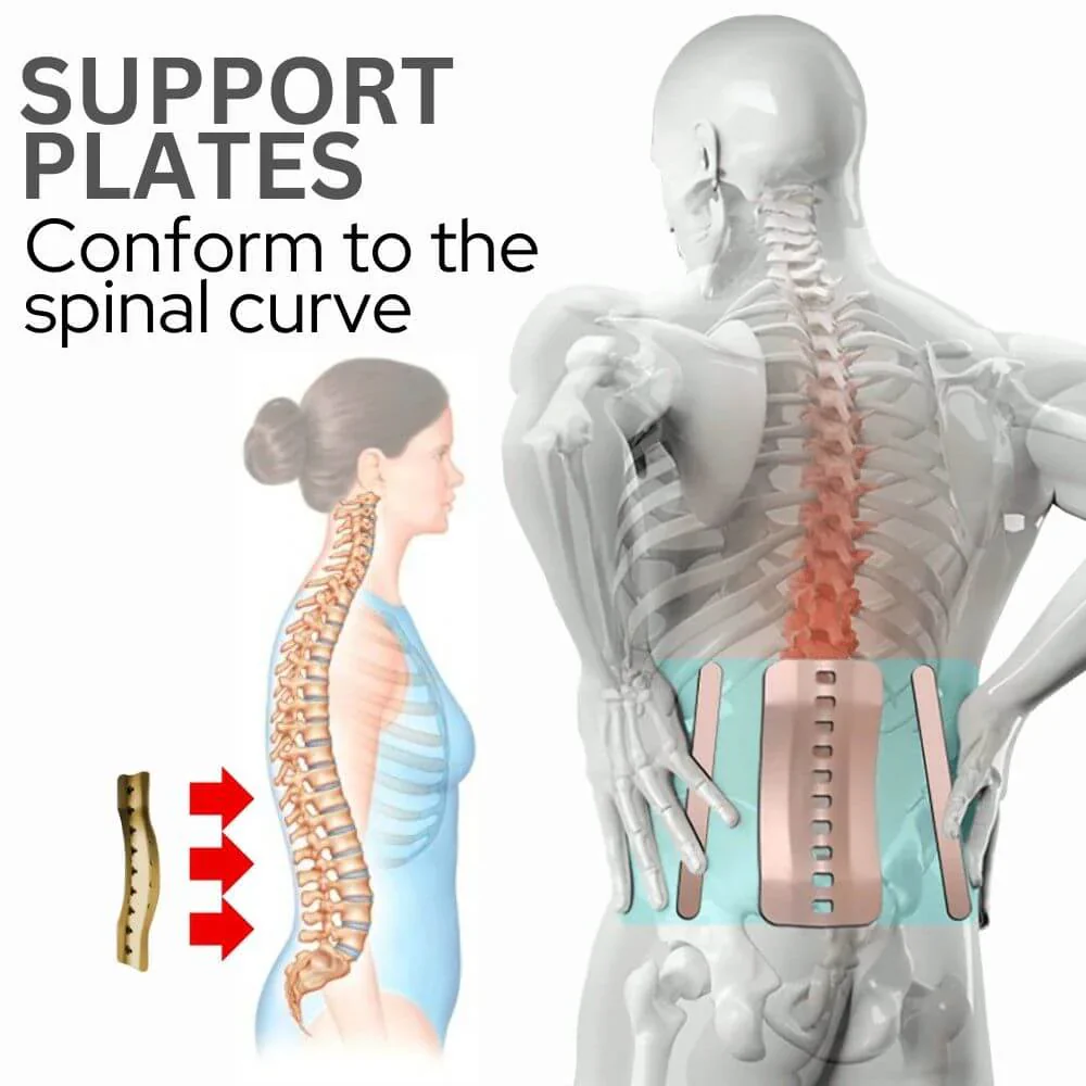 š„Hot Sale - 49% OFFš„ Tiktrove - Orthopedic Support Belt with Magnets - Image 9